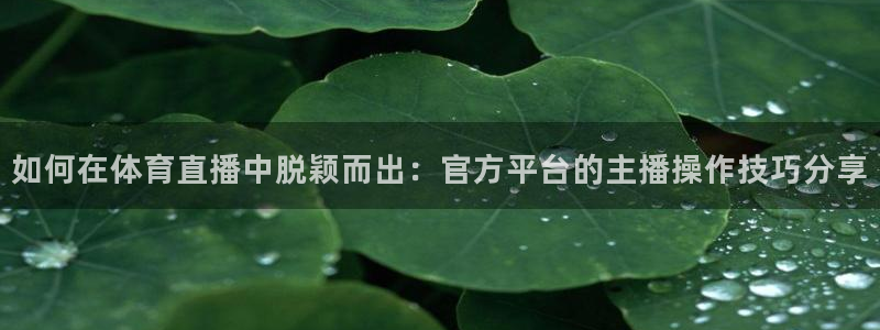 如何在体育直播中脱颖而出：官方平台的主播操作技巧分享