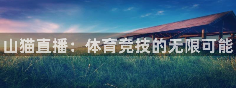 山猫直播：体育竞技的无限可能